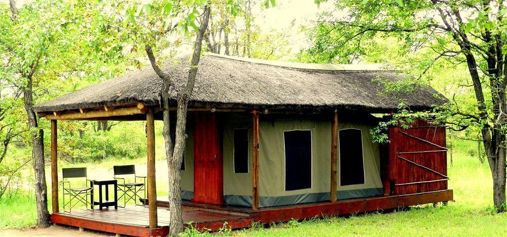 Shindzela Tented Camp Timbavati Doğa Koruma Alanı Dış mekan fotoğraf