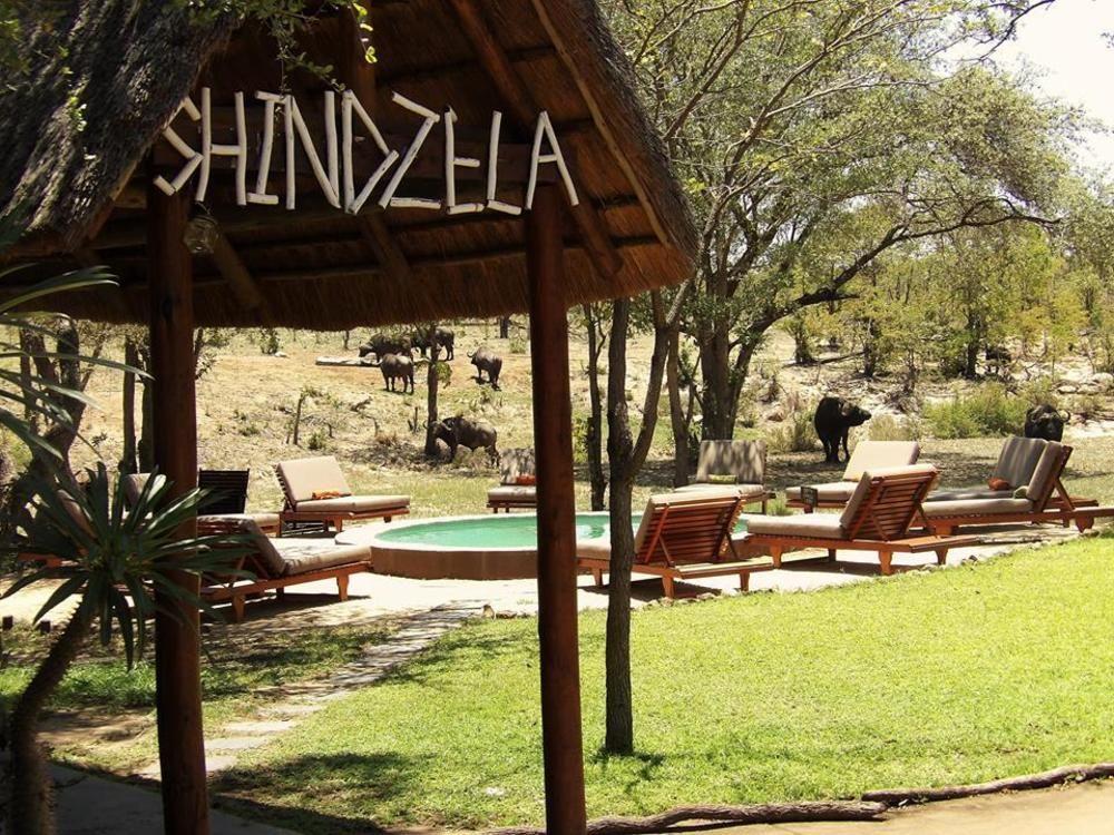 Shindzela Tented Camp Timbavati Doğa Koruma Alanı Dış mekan fotoğraf
