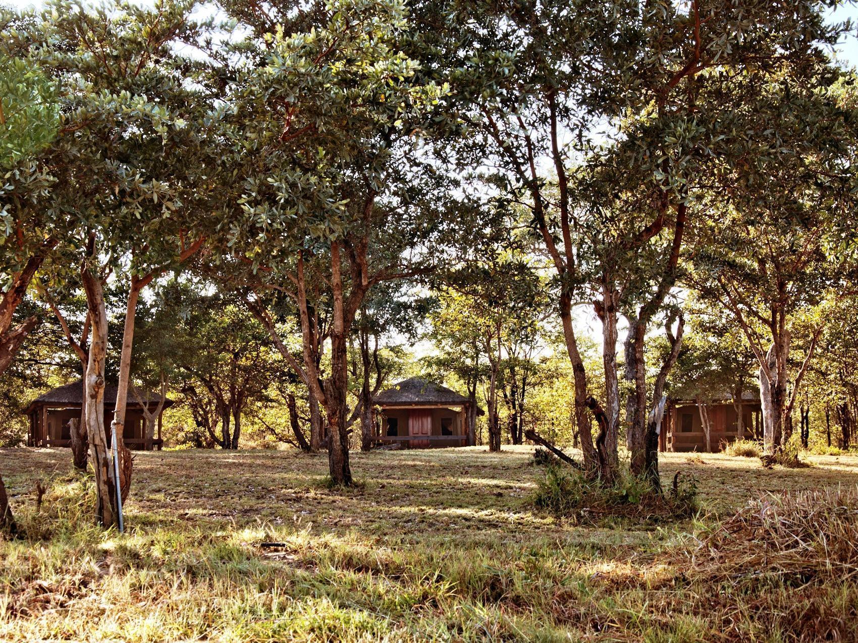 Shindzela Tented Camp Timbavati Doğa Koruma Alanı Dış mekan fotoğraf