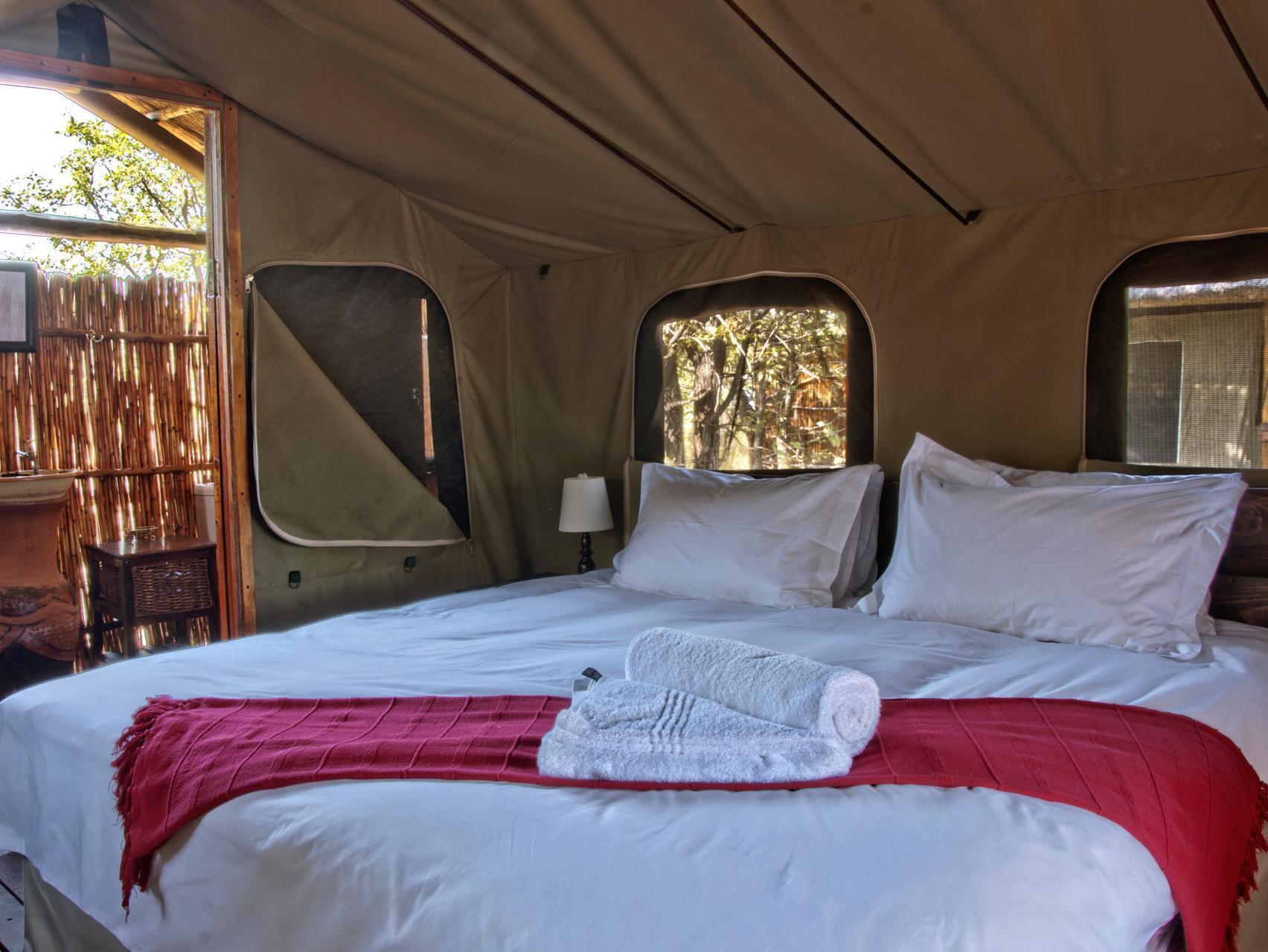 Shindzela Tented Camp Timbavati Doğa Koruma Alanı Dış mekan fotoğraf