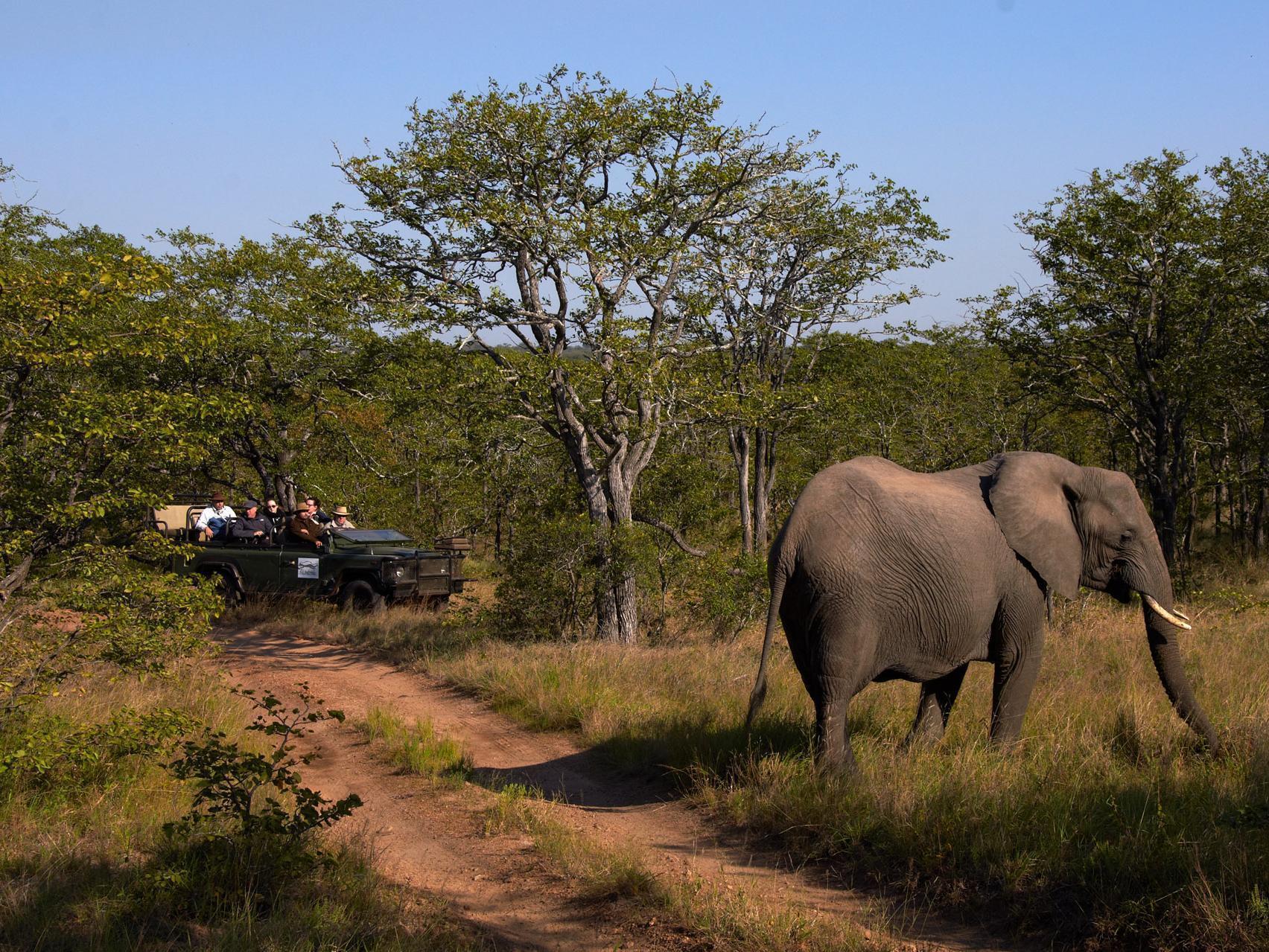 Shindzela Tented Camp Timbavati Doğa Koruma Alanı Dış mekan fotoğraf
