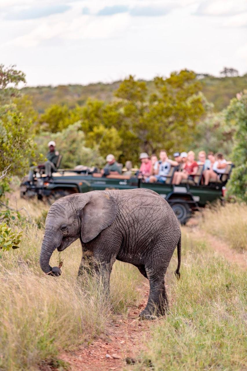 Shindzela Tented Camp Timbavati Doğa Koruma Alanı Dış mekan fotoğraf