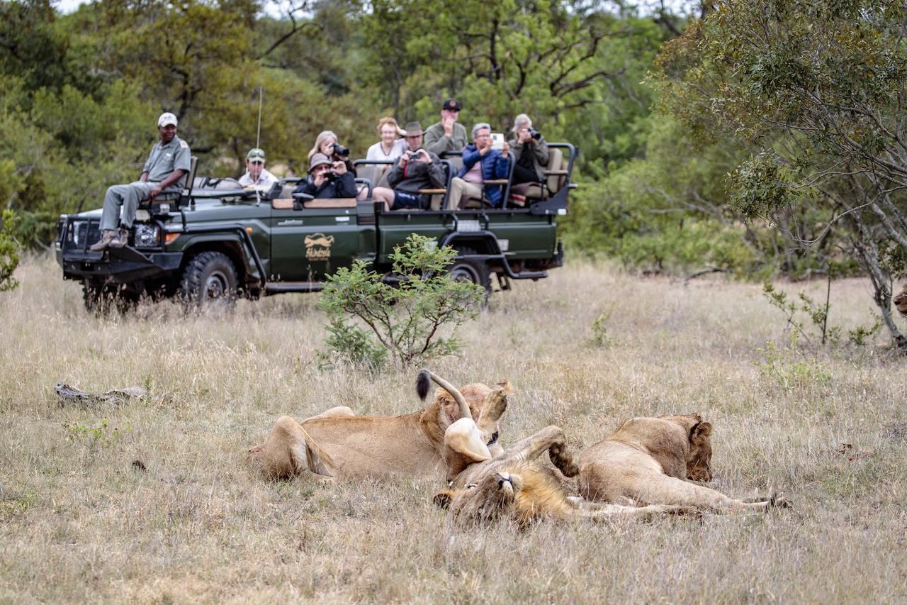 Shindzela Tented Camp Timbavati Doğa Koruma Alanı Dış mekan fotoğraf