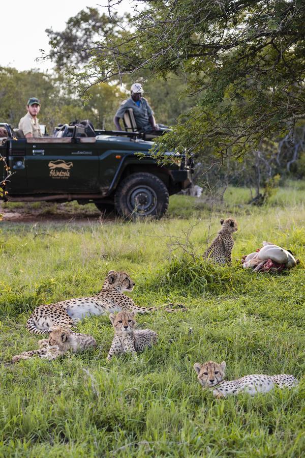 Shindzela Tented Camp Timbavati Doğa Koruma Alanı Dış mekan fotoğraf
