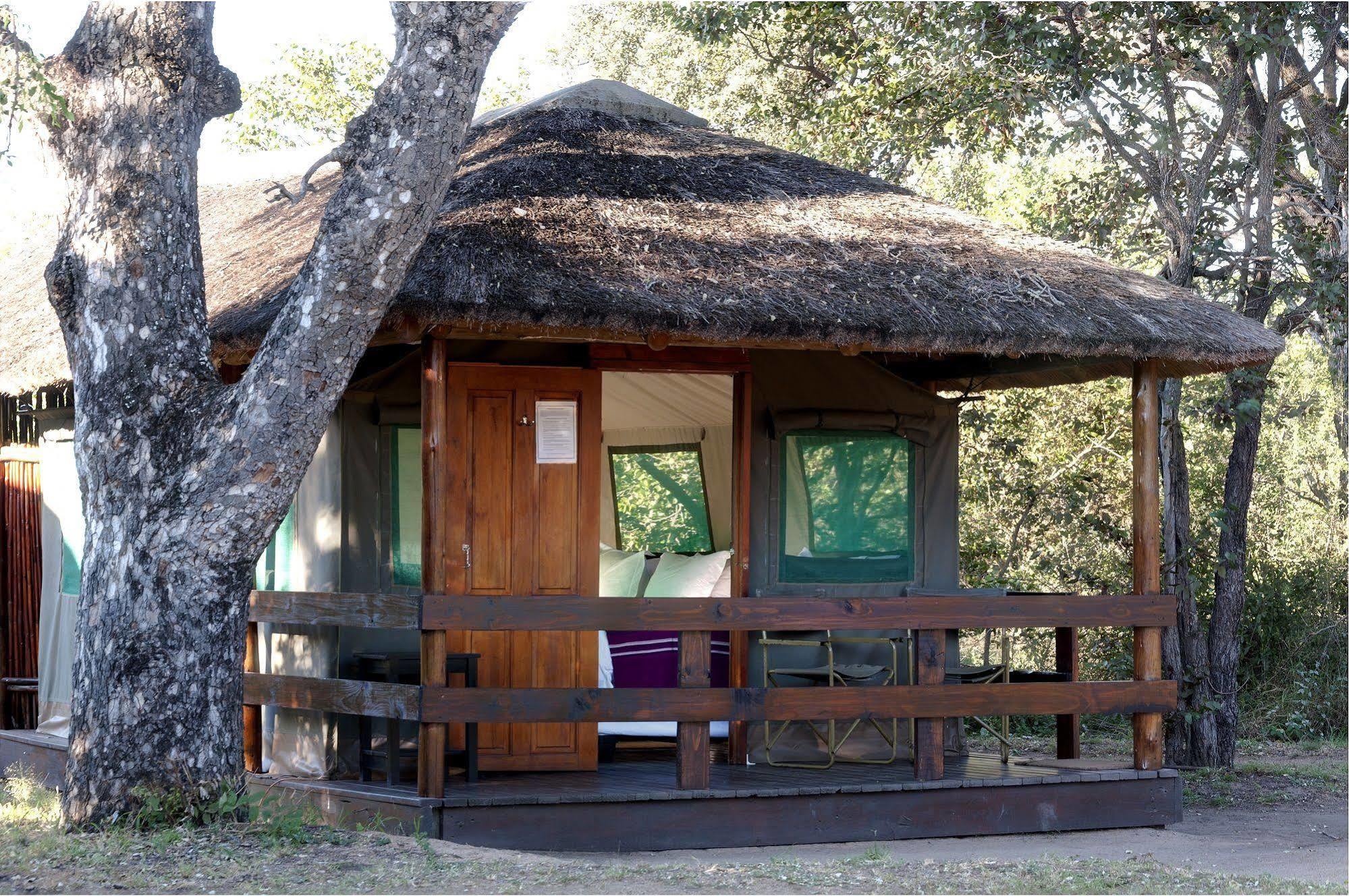 Shindzela Tented Camp Timbavati Doğa Koruma Alanı Dış mekan fotoğraf