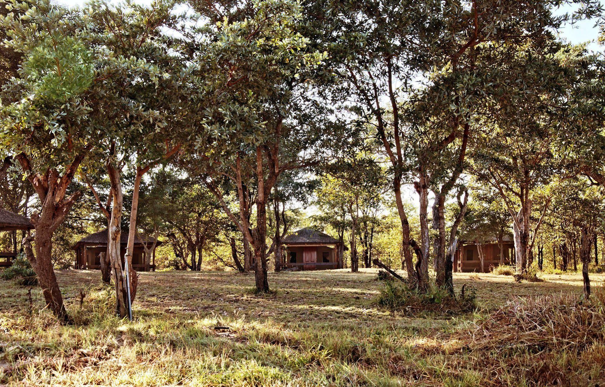 Shindzela Tented Camp Timbavati Doğa Koruma Alanı Dış mekan fotoğraf