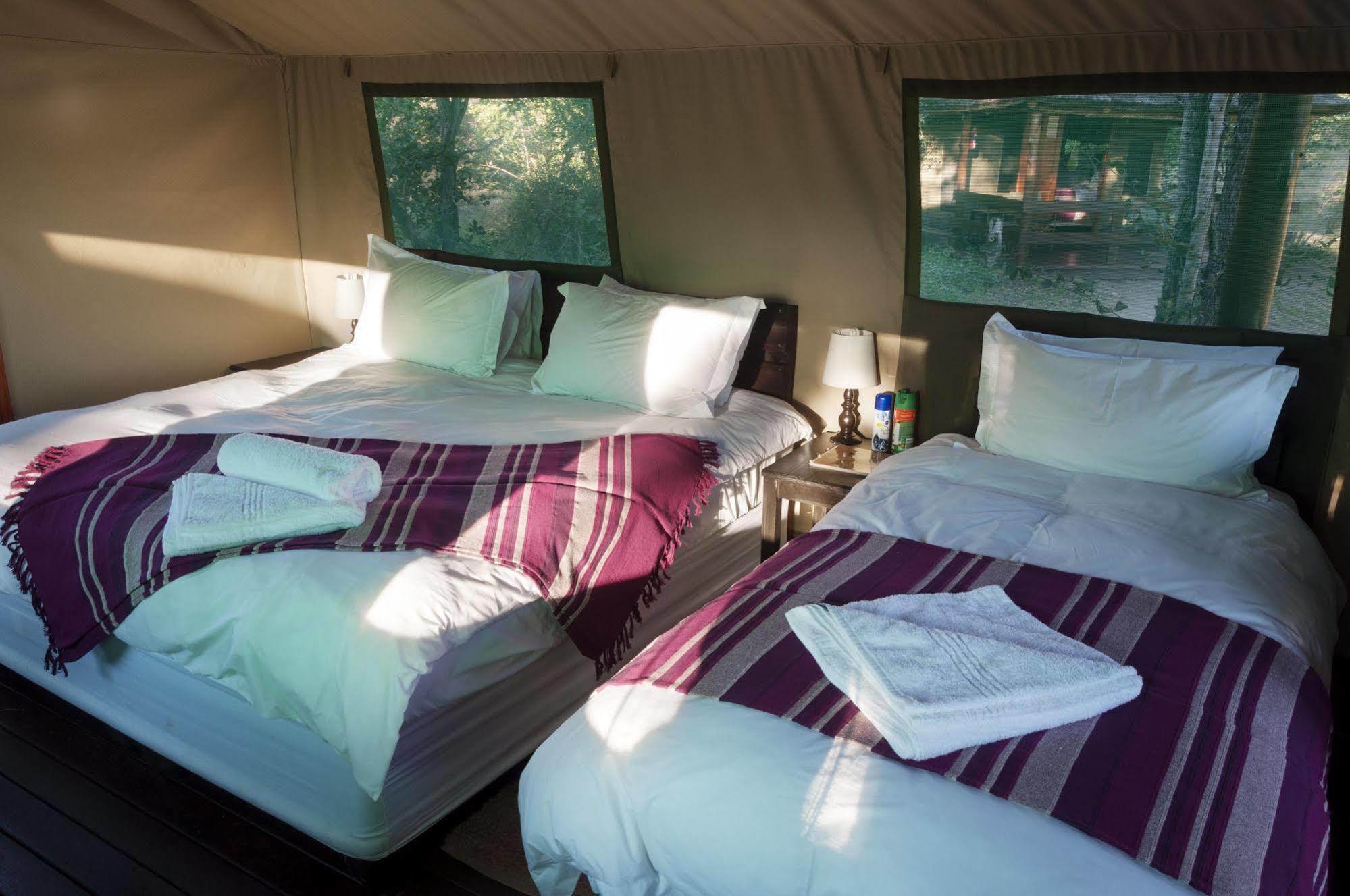 Shindzela Tented Camp Timbavati Doğa Koruma Alanı Dış mekan fotoğraf