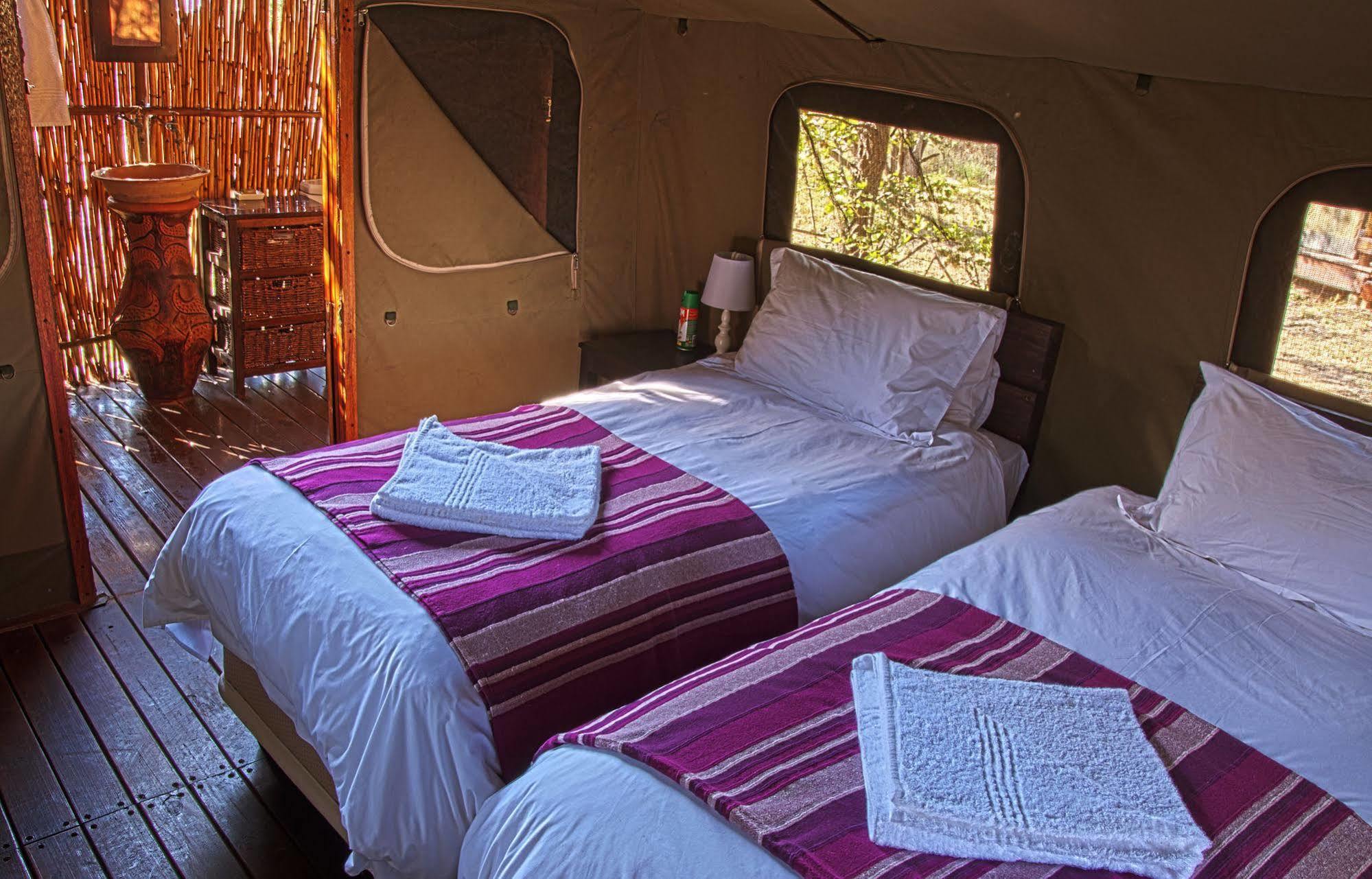 Shindzela Tented Camp Timbavati Doğa Koruma Alanı Dış mekan fotoğraf