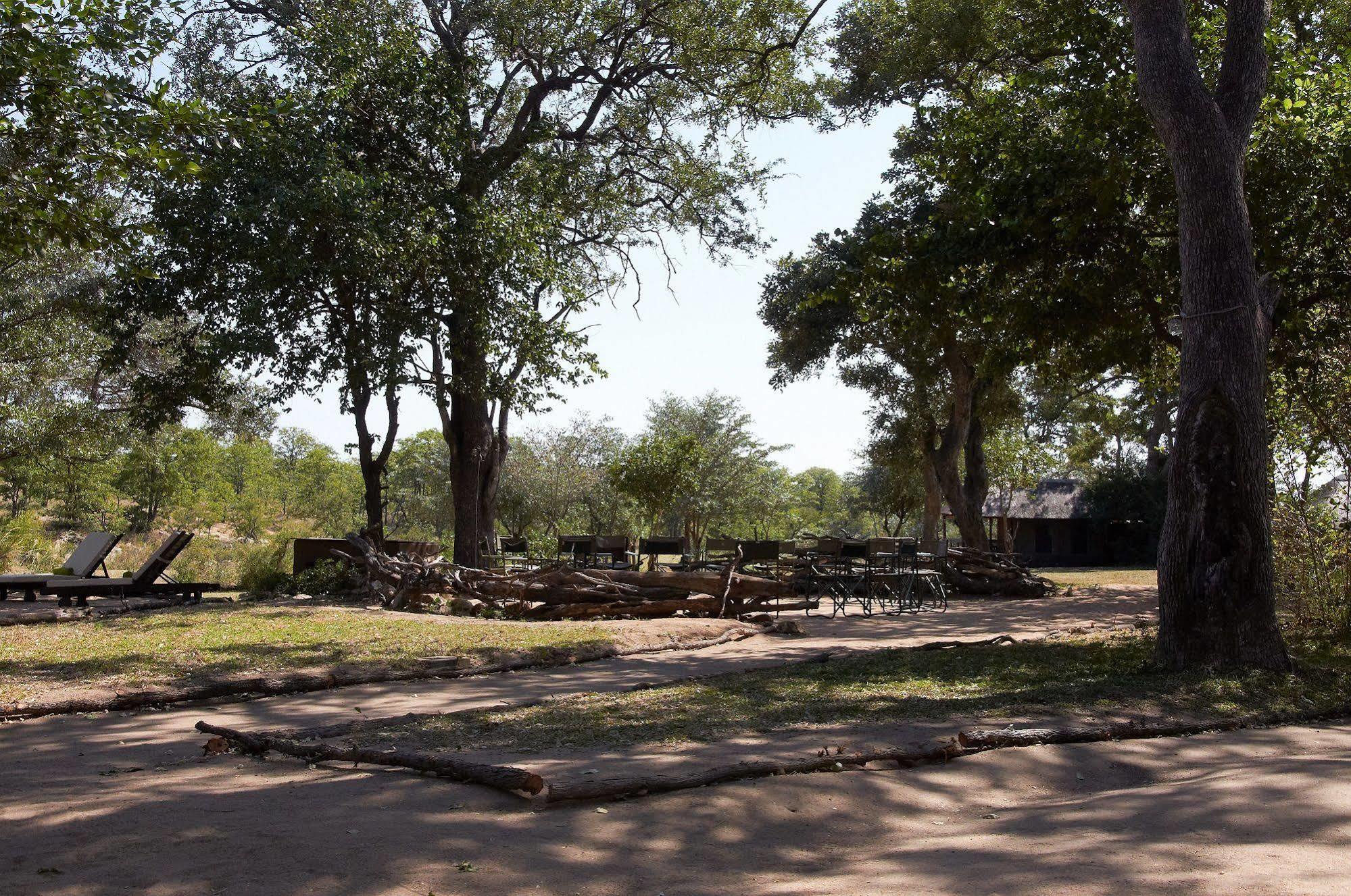 Shindzela Tented Camp Timbavati Doğa Koruma Alanı Dış mekan fotoğraf