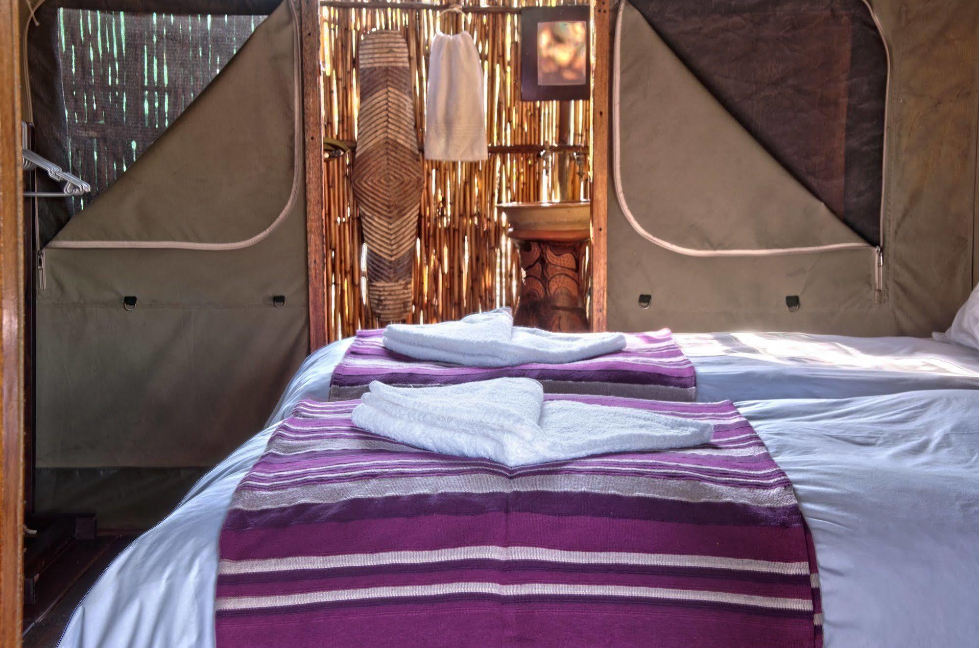 Shindzela Tented Camp Timbavati Doğa Koruma Alanı Dış mekan fotoğraf
