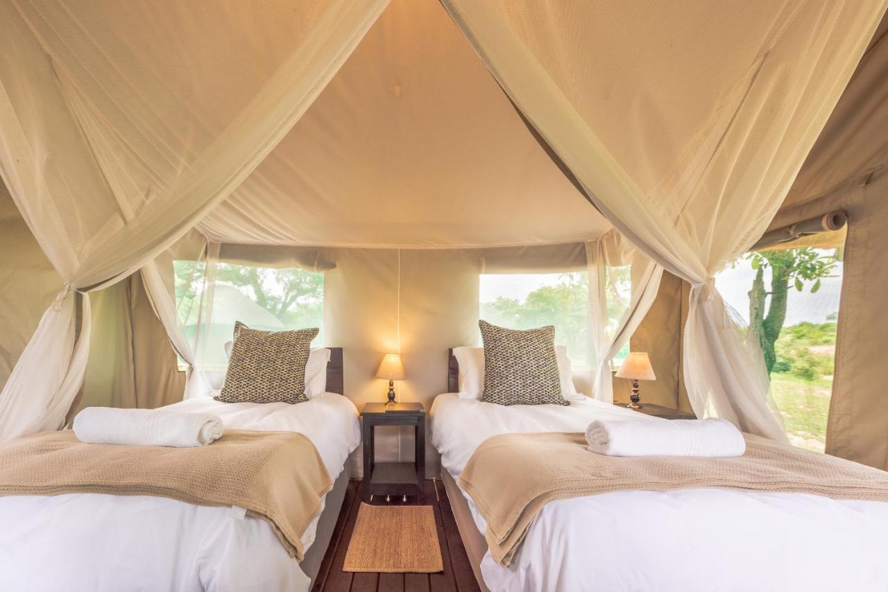 Shindzela Tented Camp Timbavati Doğa Koruma Alanı Dış mekan fotoğraf