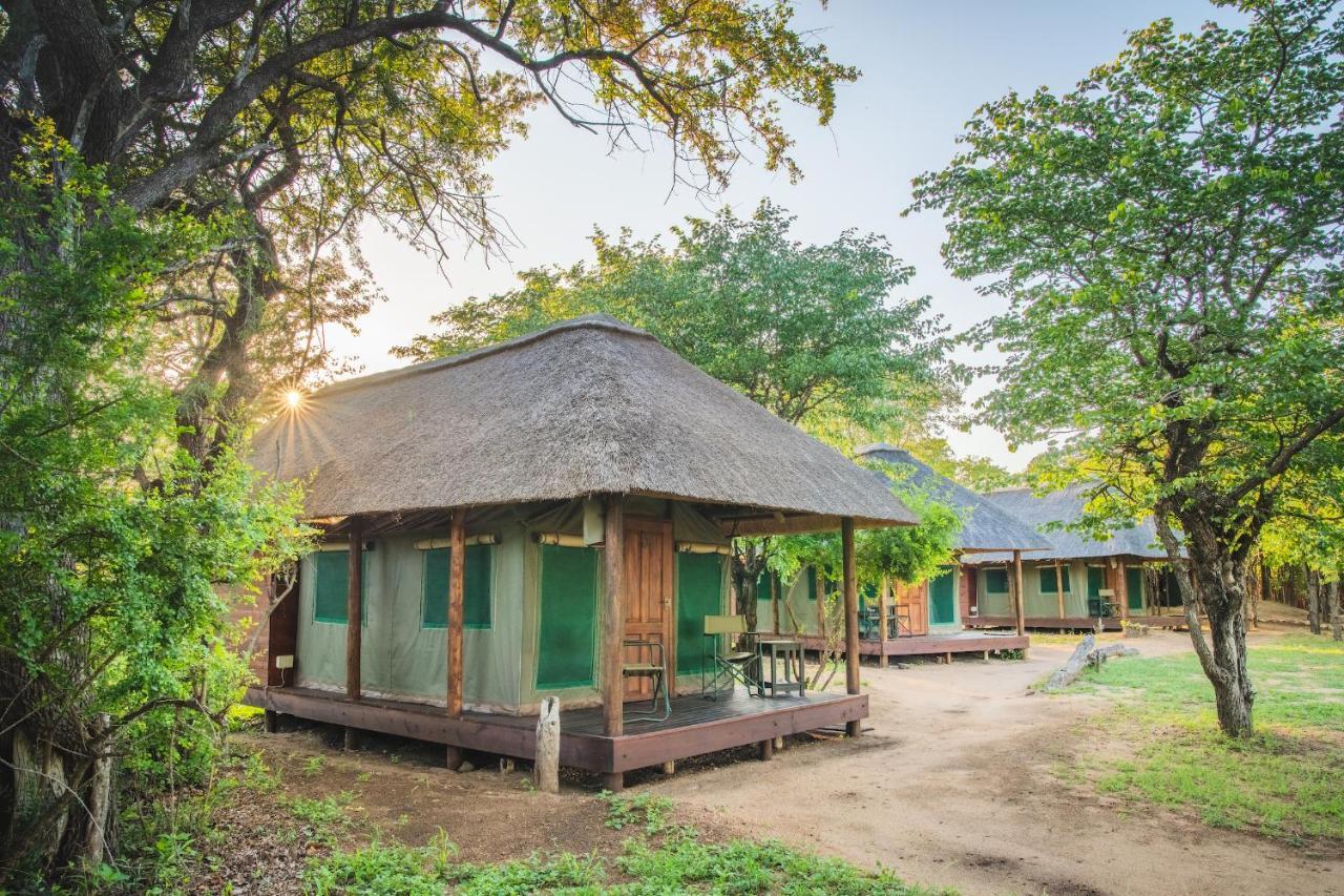 Shindzela Tented Camp Timbavati Doğa Koruma Alanı Dış mekan fotoğraf