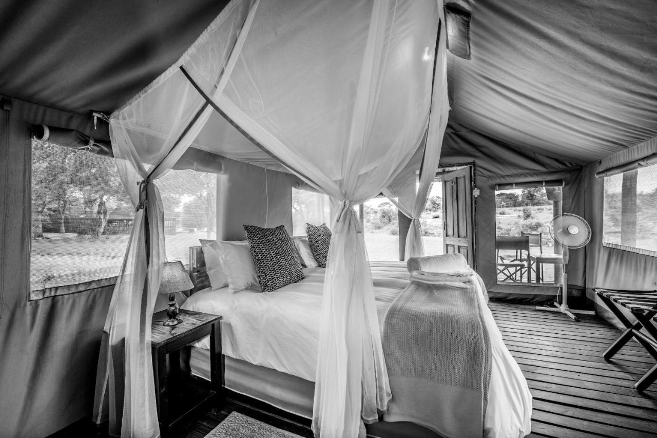 Shindzela Tented Camp Timbavati Doğa Koruma Alanı Dış mekan fotoğraf