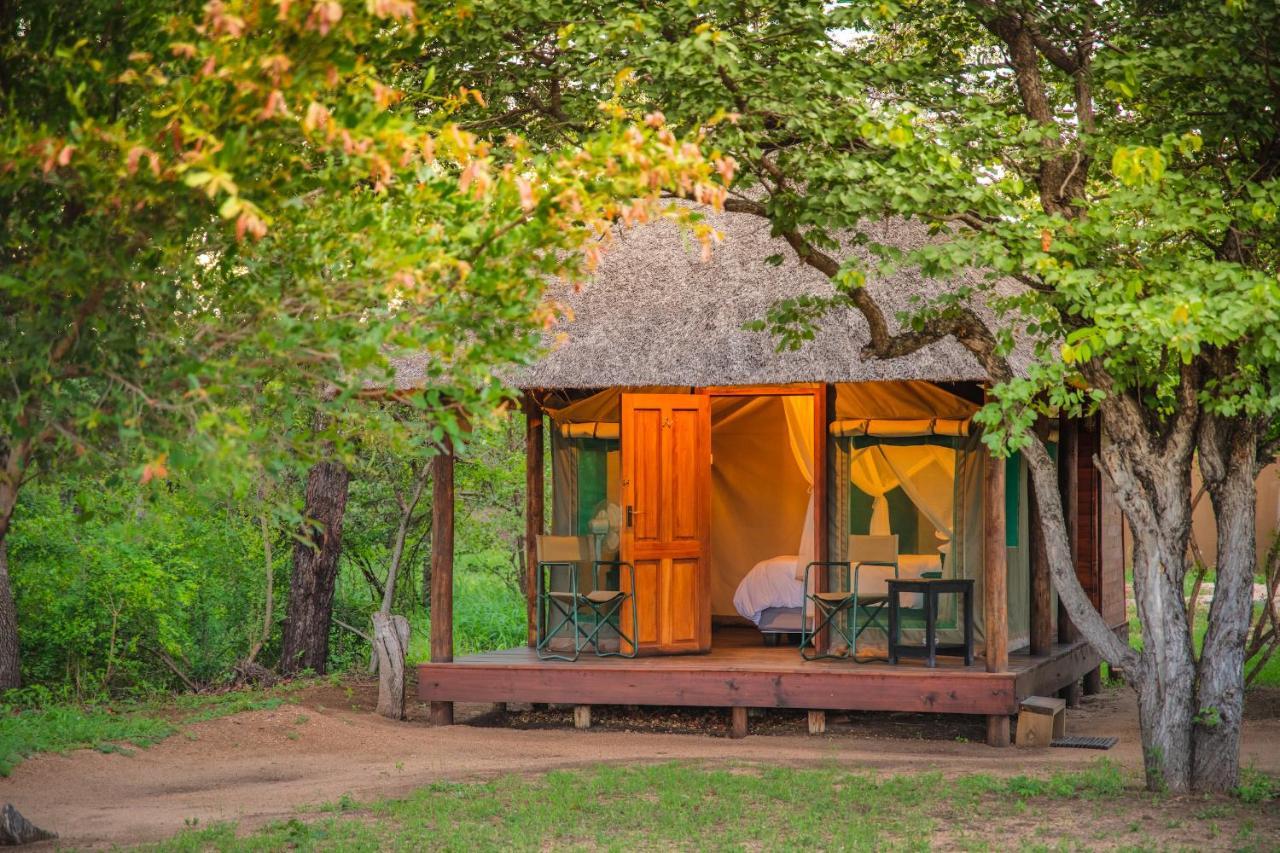 Shindzela Tented Camp Timbavati Doğa Koruma Alanı Dış mekan fotoğraf