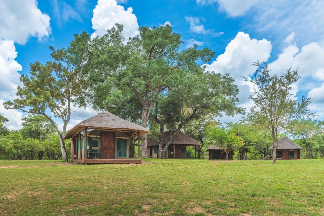 Shindzela Tented Camp Timbavati Doğa Koruma Alanı Dış mekan fotoğraf