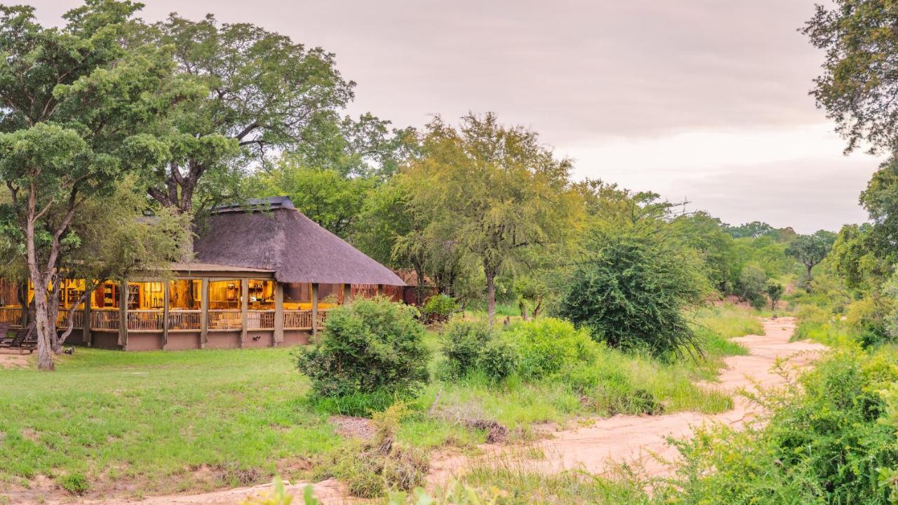 Shindzela Tented Camp Timbavati Doğa Koruma Alanı Dış mekan fotoğraf