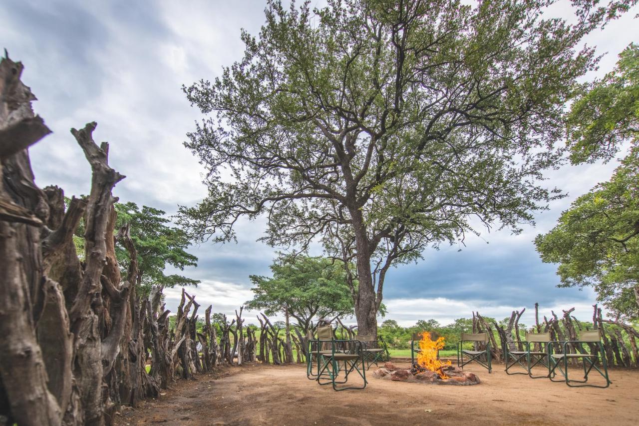 Shindzela Tented Camp Timbavati Doğa Koruma Alanı Dış mekan fotoğraf